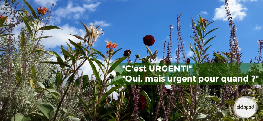 Oktopod_Gestion du temps_Urgent pour quand ?